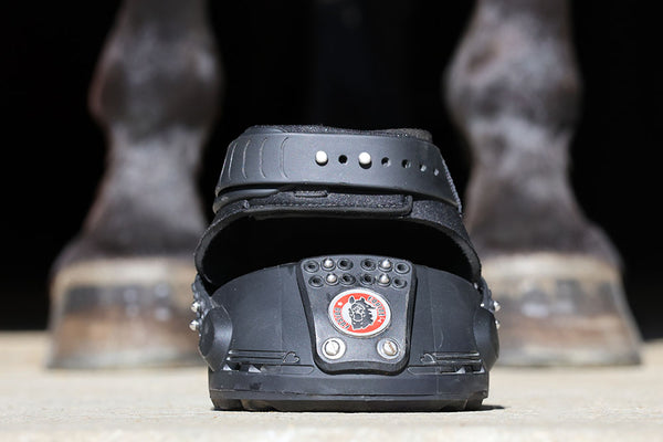 Equine Fusion Trailblazer - Hoof Boots