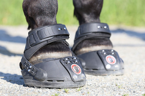 Equine Fusion Trailblazer - Hoof Boots