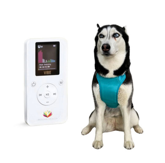 Dog Vibe Vest